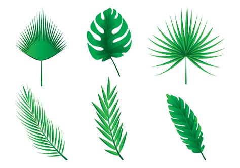 Palm silhouettes. . Palm leaf vector